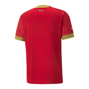 Serbie - Maillot domicile 2022 Homme